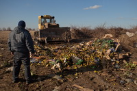 Об уничтожении в Ростовской области около 4 тонн запрещенных к ввозу фруктов.