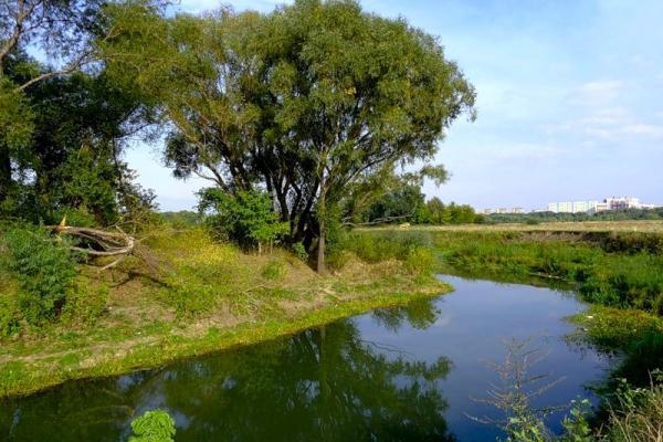 ОНФ в Пермском крае выступил с инициативой запрета на строительство в долинах малых рек